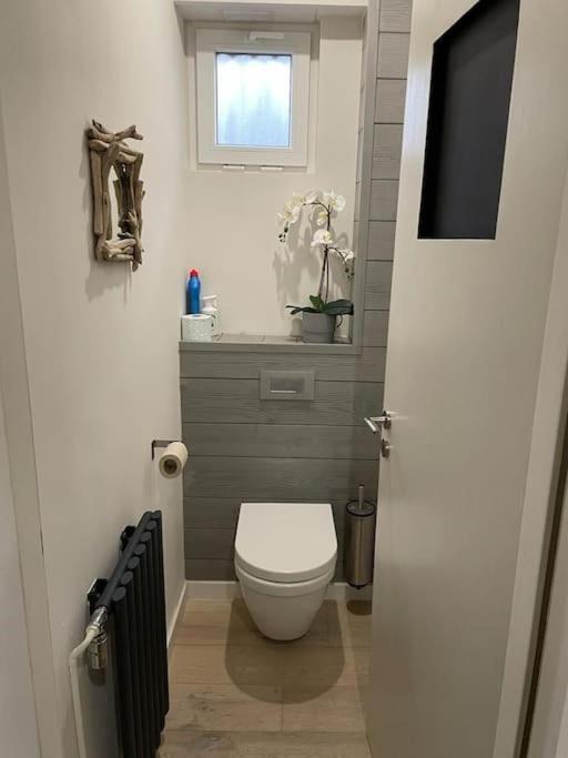 Joli Logement Avec Terrasse La Cigale 6 A 8 Personnes Orbey Kültér fotó