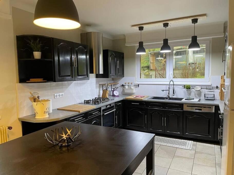 Joli Logement Avec Terrasse La Cigale 6 A 8 Personnes Orbey Kültér fotó